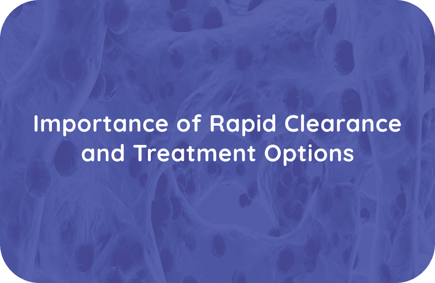 Case Study 1 - Video 1